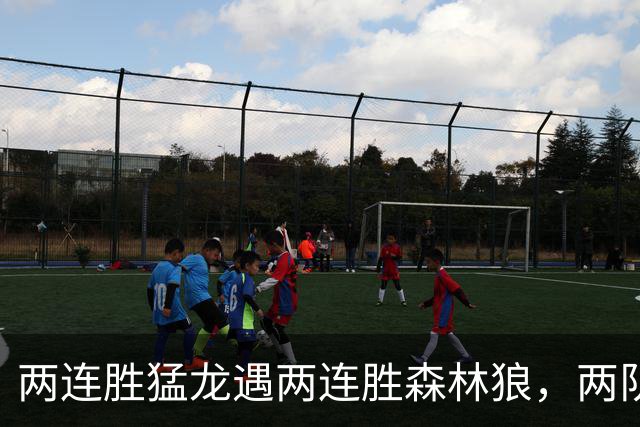 两连胜猛龙遇两连胜森林狼，两队都想保住不败金身