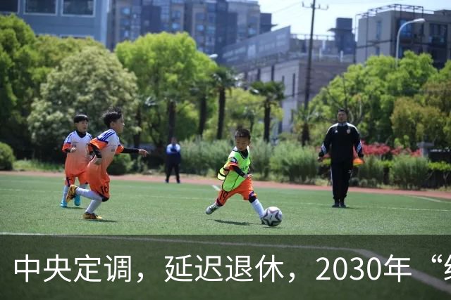 中央定调，延迟退休，2030年“缓冲期”后，提前退休需啥条件呢？