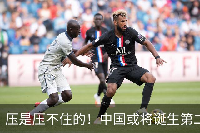 压是压不住的！中国或将诞生第二个华为