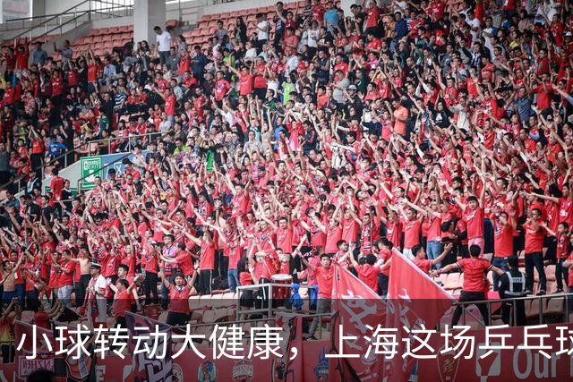 小球转动大健康，上海这场乒乓球健康嘉年华留下了什么
