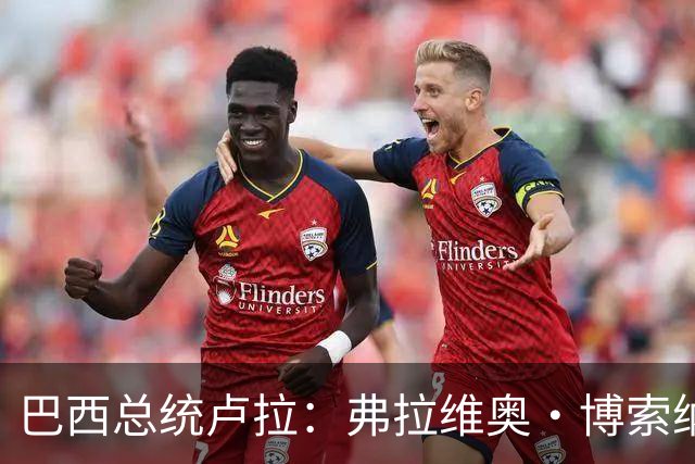 巴西总统卢拉：弗拉维奥·博索纳罗败选后逃离巴西“可耻”