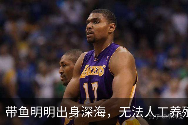 带鱼明明出身深海，无法人工养殖，为什么成了便宜的平民海鲜？