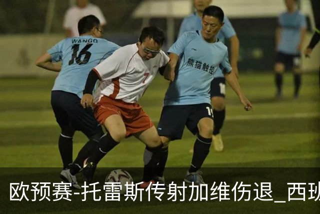 欧预赛-托雷斯传射加维伤退 西班牙3-1格鲁吉亚