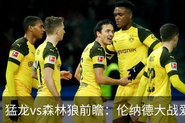 猛龙vs森林狼前瞻：伦纳德大战爱德华兹，一场不同风格的强硬对决