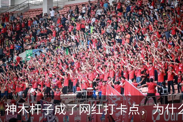 神木杆子成了网红打卡点，为什么要围起来？