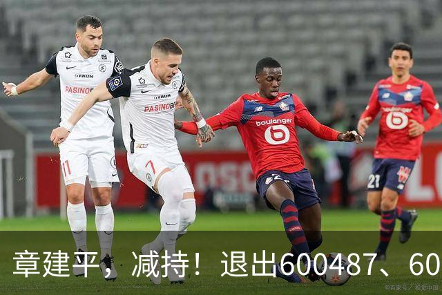 章建平，减持！退出600487、603618前10大股东！