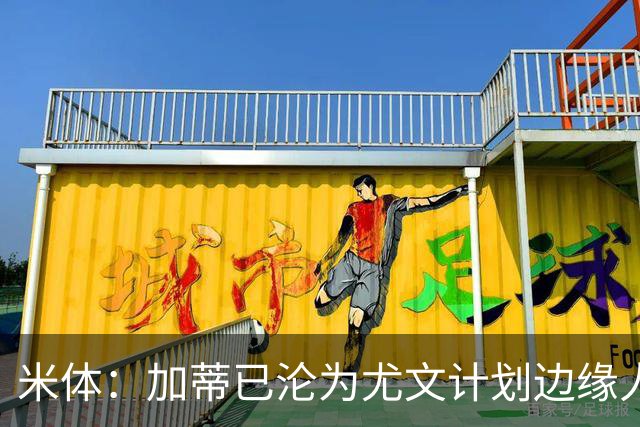 米体：加蒂已沦为尤文计划边缘人物，冬窗有可能离队