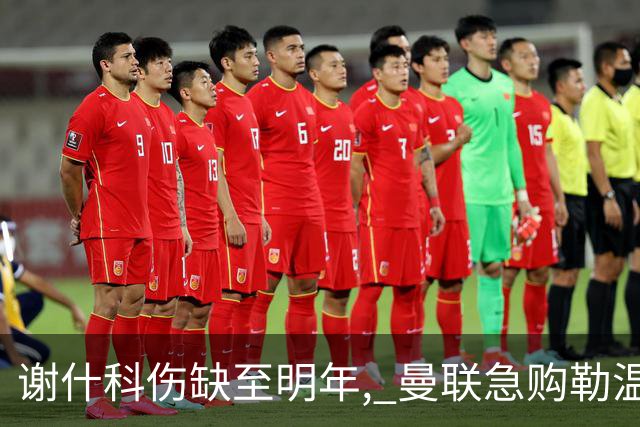 谢什科伤缺至明年, 曼联急购勒温补锋线