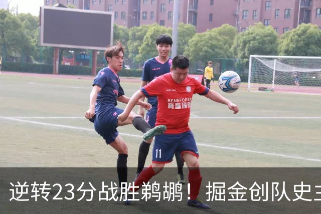 逆转23分战胜鹈鹕！掘金创队史主场最大逆转纪录
