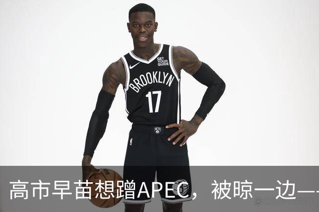 高市早苗想蹭APEC，被晾一边——这台阶修成滑梯还铺“鬼火”，滑不滑稽？